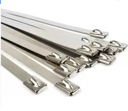 Ss Cable Tie 250MM